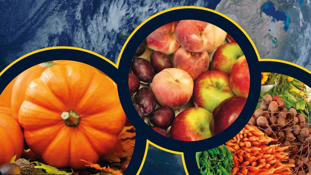 Logodor entdeckt Erntedank