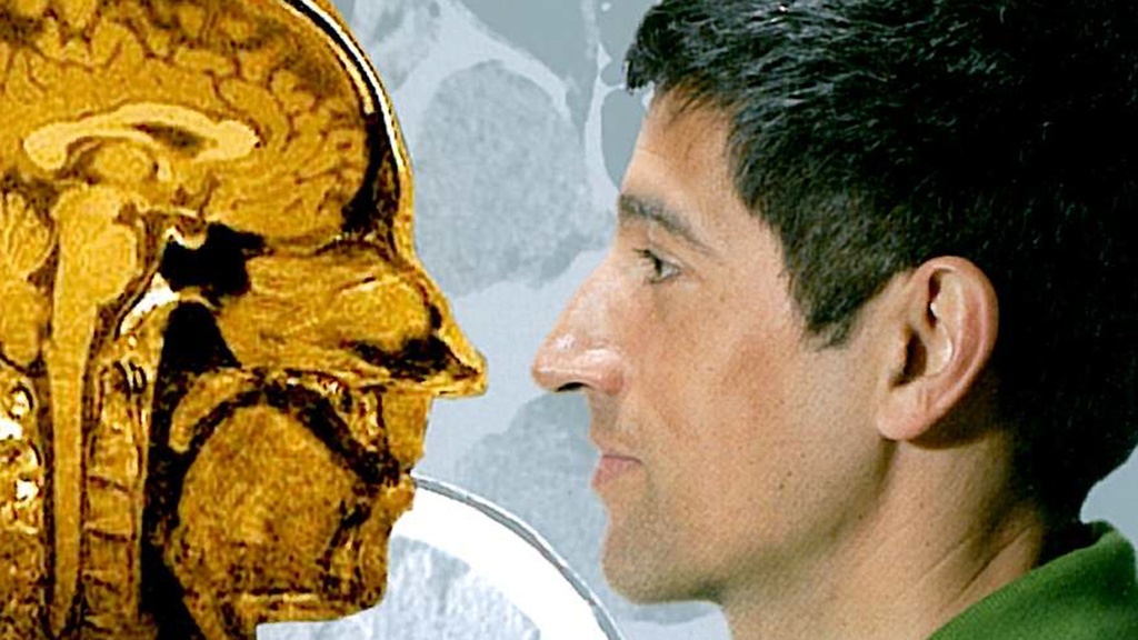 QUARKS & CO: Neues vom Gehirn - Wie wir lernen