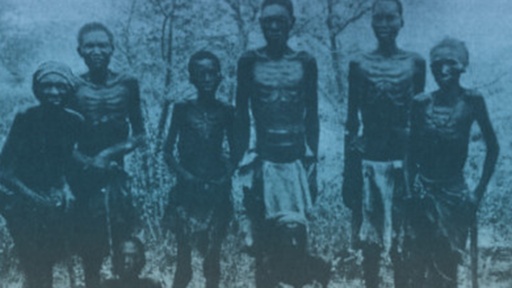 [AR02983-001] Das koloniale Missverständnis