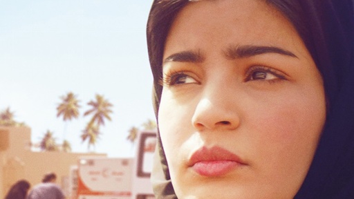 [AR02798-001] Die perfekte Kandidatin