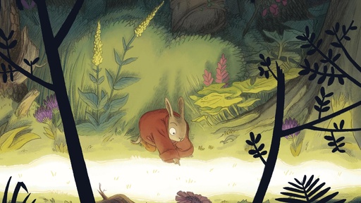 [AR03019-001] Ein Licht im Wald