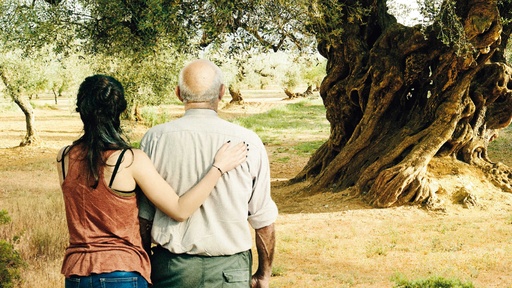 [AR02511-001] El olivo  – Der Olivenbaum