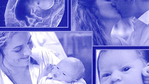 [AR00268-001] FASZINATION LIEBE - Das Wunder des Lebens