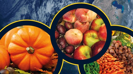 [AR02389-001] Logodor entdeckt Erntedank