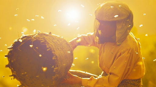 [AR02801-001] Land des Honigs