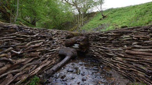 [AR02594-001] Leaning into the Wind – Andy Goldsworthy