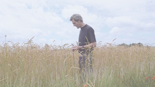 [AR02905-001] Umtausch ausgeschlossen – es gibt nur eine Schöpfung, DVD 1: Von der Verantwortung des Einzelnen