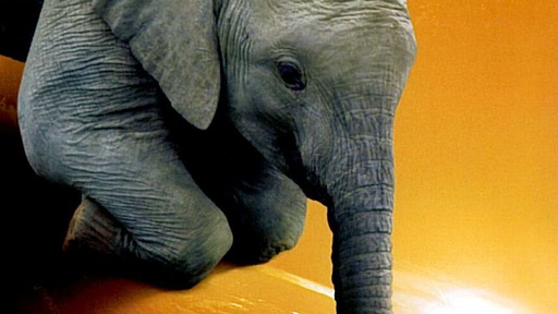 [AR01967-001] Unsere Erde