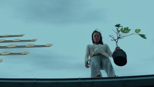 [AR03483-001] Chaos und Stille